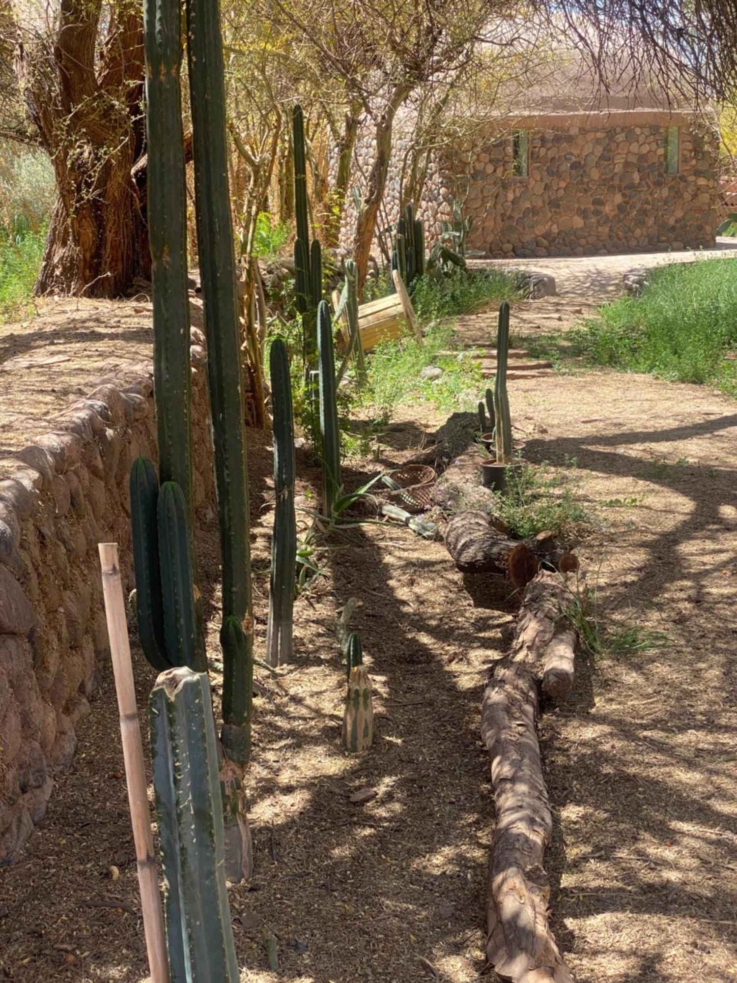 Casa Luna San Pedro de Atacama Exterior photo